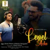About Level Ache Song